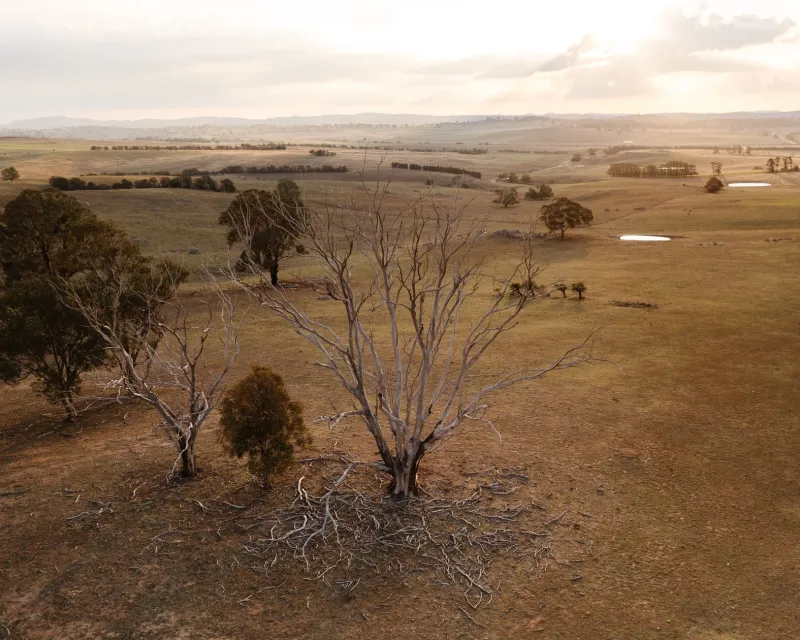 The Distance Dividend: Why Australia's Wealthiest Buyers Are Paying a Premium to Be Unreachable
